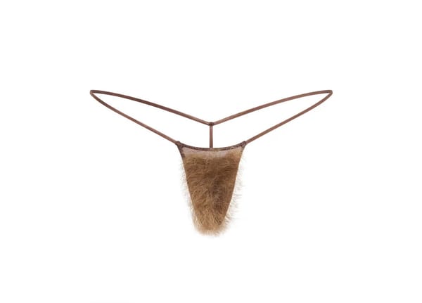 Bush is back indlægsbillede