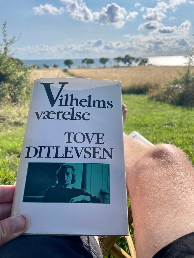 Gode Boganbefalinger fra Gode Folk indlægsbillede
