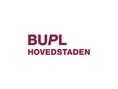 Konsulent til politisk betjening og kommunikation indlægsbillede