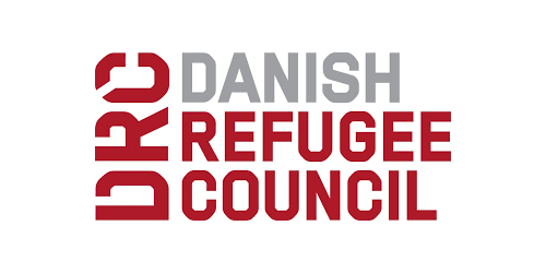 Media and Campaigns Advisor indlægsbillede