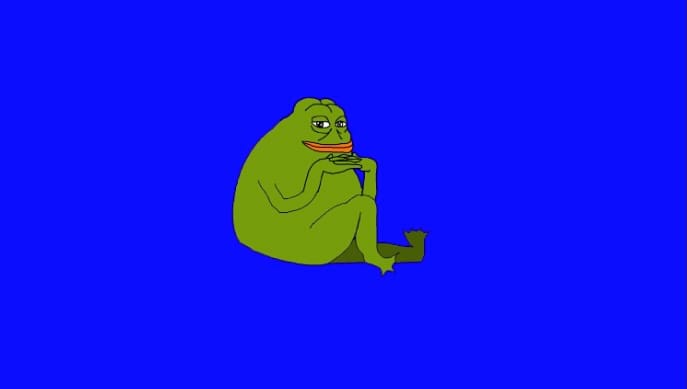 Groypers: Hvad har memes egentlig med politisk vold at gøre? indlægsbillede